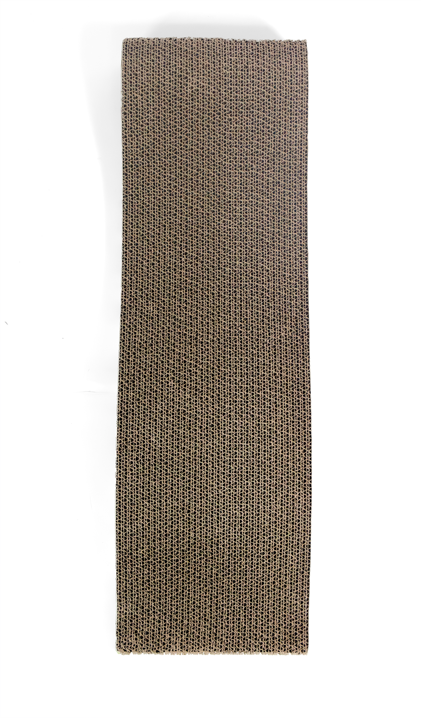 Board Scratcher - Catsy