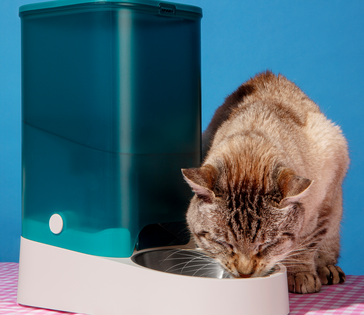 Food and water bowls