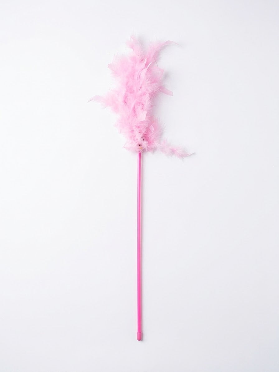 Teaser Cat Toy