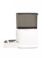 Smart Feeder - Catsy