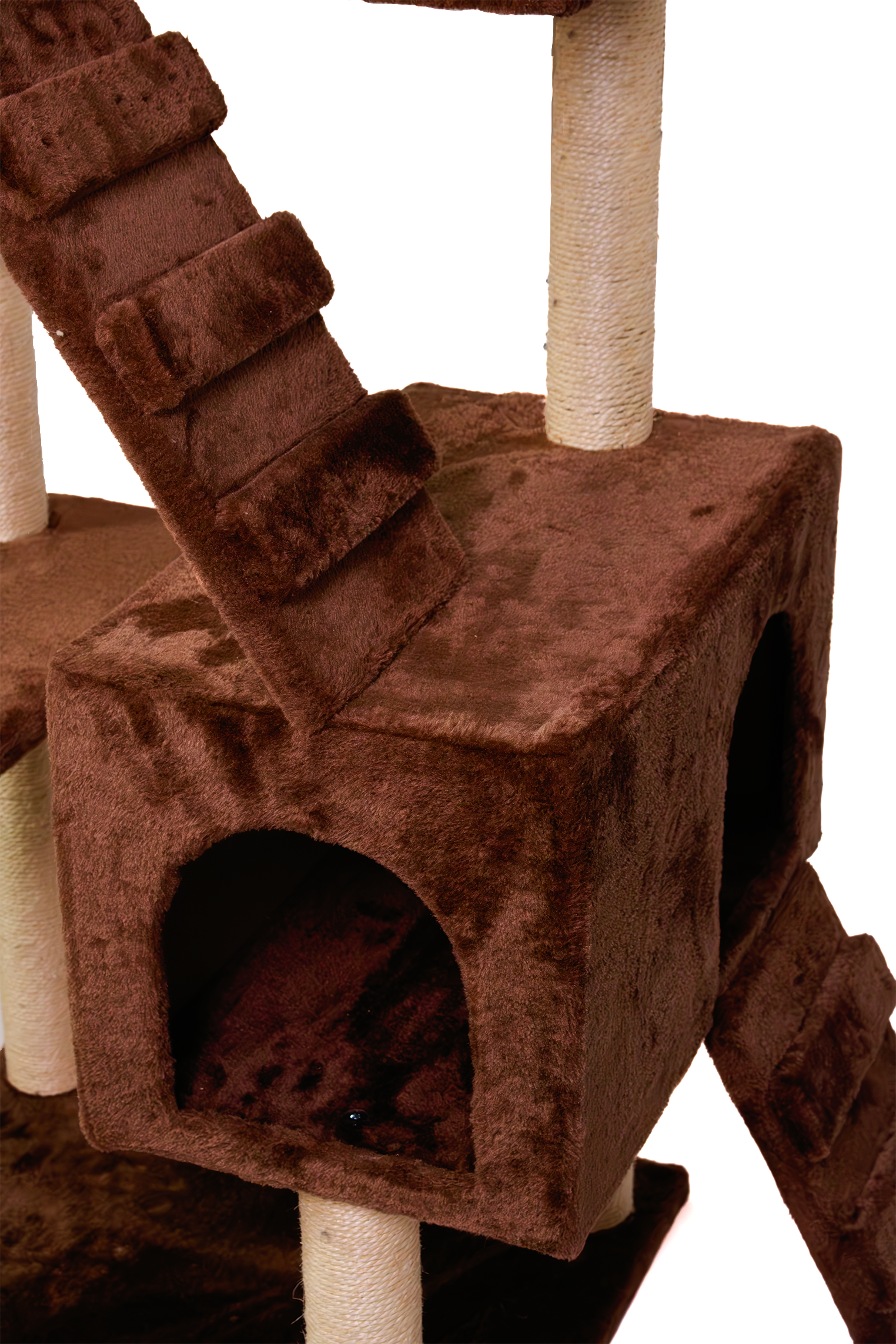 Skyscrapper tree - Catsy