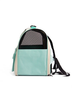 Cat On the Back - Catsy