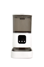 Smart Feeder - Catsy