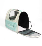 Cat On the Back - Catsy