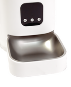 Smart Feeder - Catsy