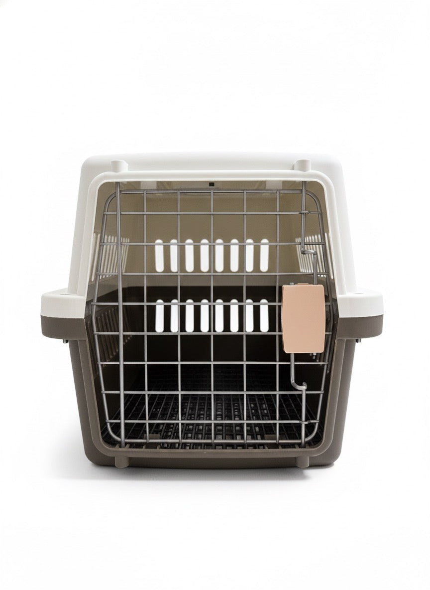 Large Travel Carrier