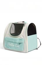 Cat On the Back - Catsy